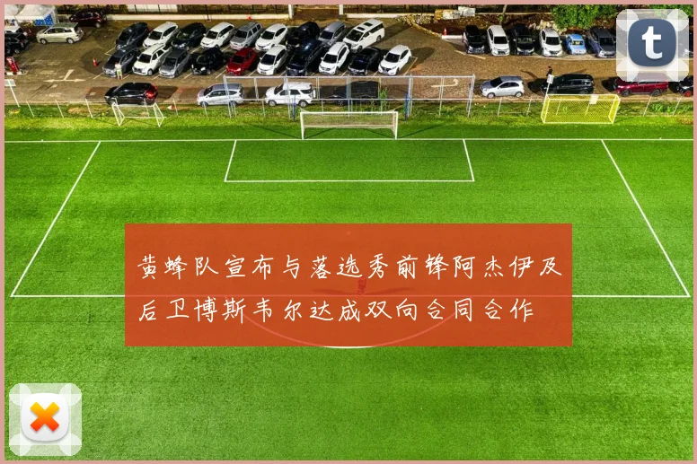 黄蜂队宣布与落选秀前锋阿杰伊及后卫博斯韦尔达成双向合同合作