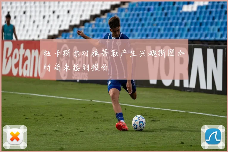 纽卡斯尔对施蒂勒产生兴趣斯图加特尚未接到报价